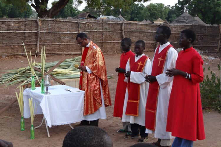 Fotka 2 Slávnosť Palmovej nedele v Tonj