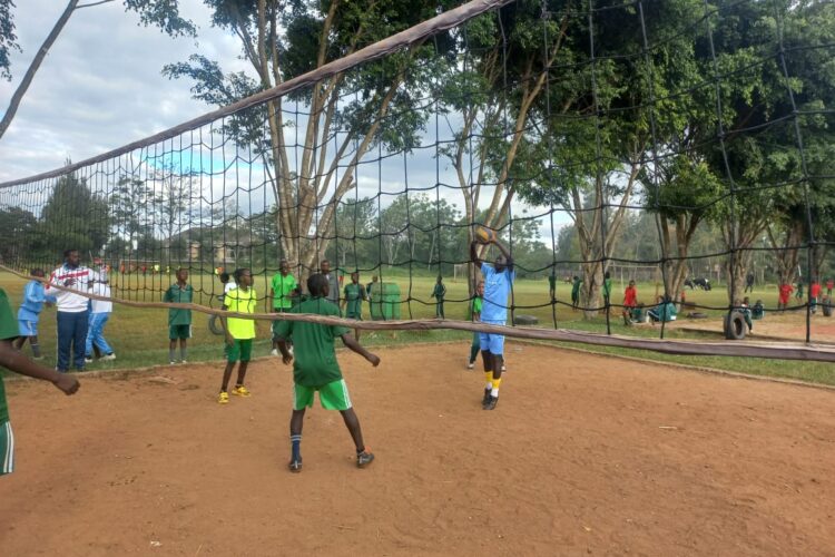 Obrázok WhatsApp 2024-06-21 o 17.35.44_87797e50