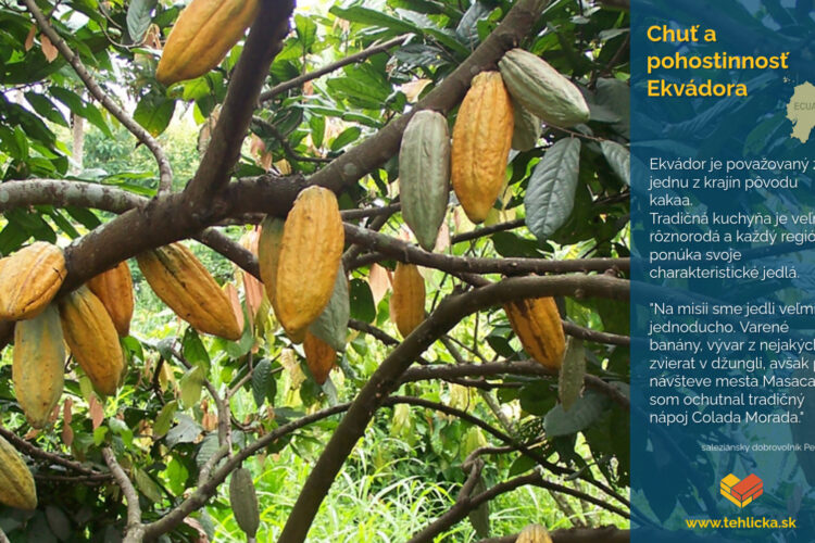 Web na pondelok 1. týždeň