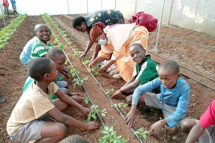 IMG_20210220_171938_436-scaled