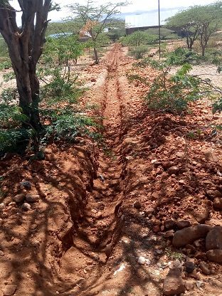 IMG_20191122_113354_9_(1)