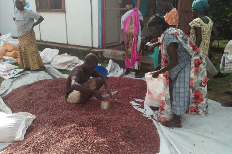 FOTKY_DO_GALÉRIE_(1)