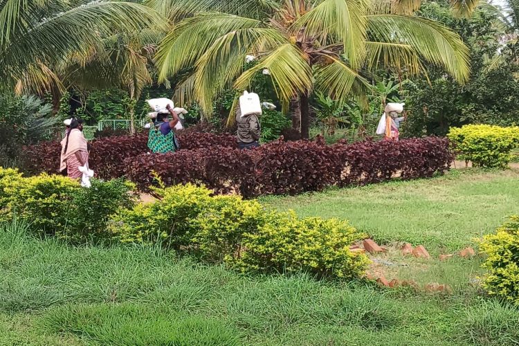 INK - Bangalore 10 DB Vidya Kshetra, Prakashpalaya