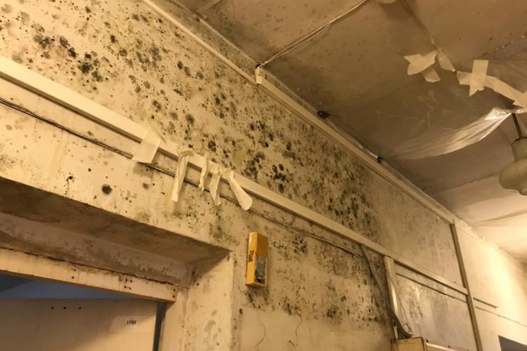 d07d59f2-061c-4237-8715-5450e549d389