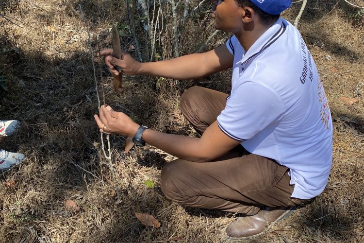 Návštevy farmárov (8)