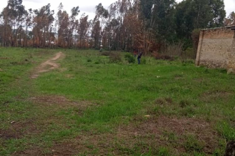 01_Pozemok_určený_na_jabloňový_sad_v_pôvodnom_stave