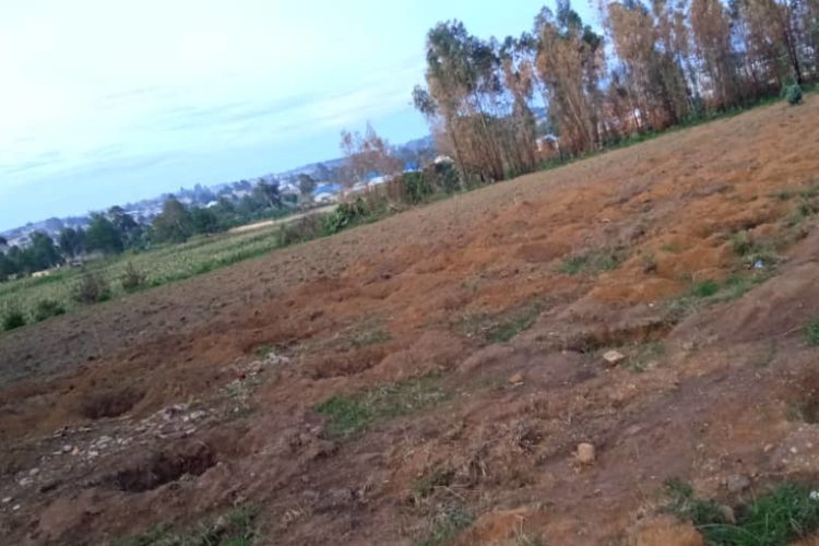 02_Pozemok_pripravený_na_výsadbu_jabloní