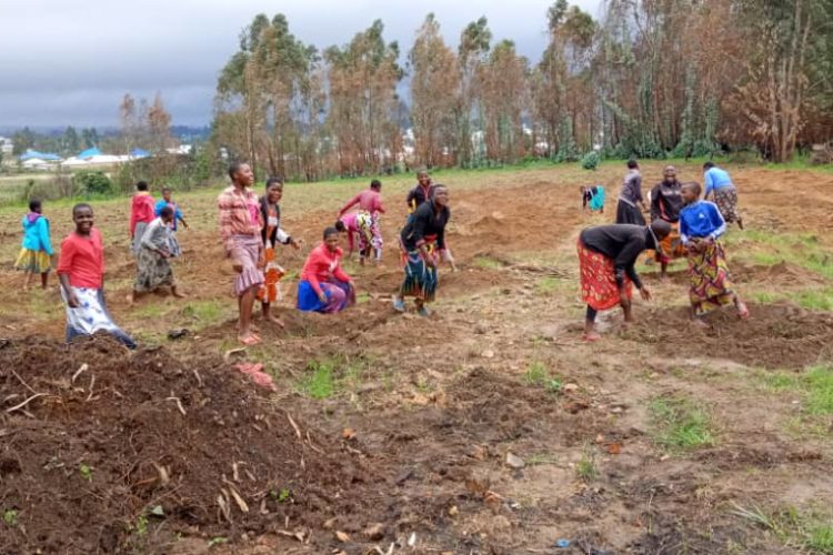 03_Príprava_pôdy_na_výsadbu_stromov