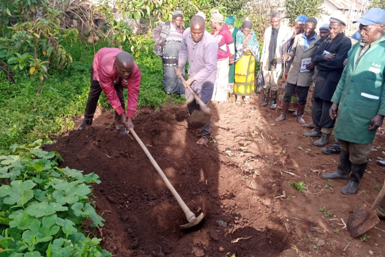 IMG_20210316_175744_188